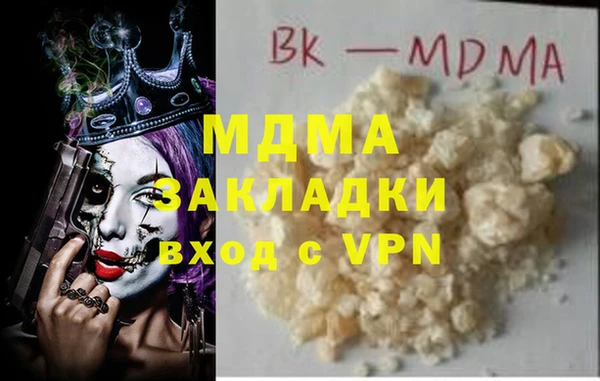 индика Бронницы